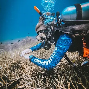 Inn Dpm Diving & Bar Koh Tao